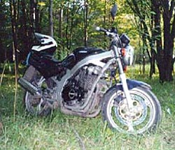 Suzuki GS400E (1991)